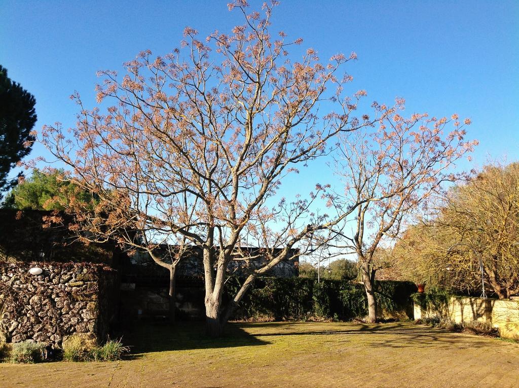 Tenuta Sant'Andrea Giuggianello Exterior foto