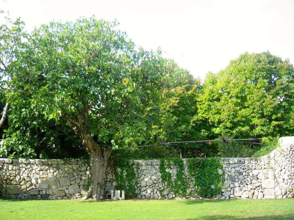 Tenuta Sant'Andrea Giuggianello Exterior foto
